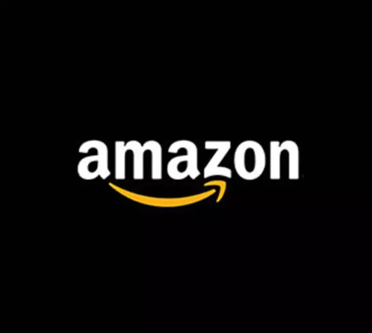 What Do Famous Logos tell us about Logo Design?