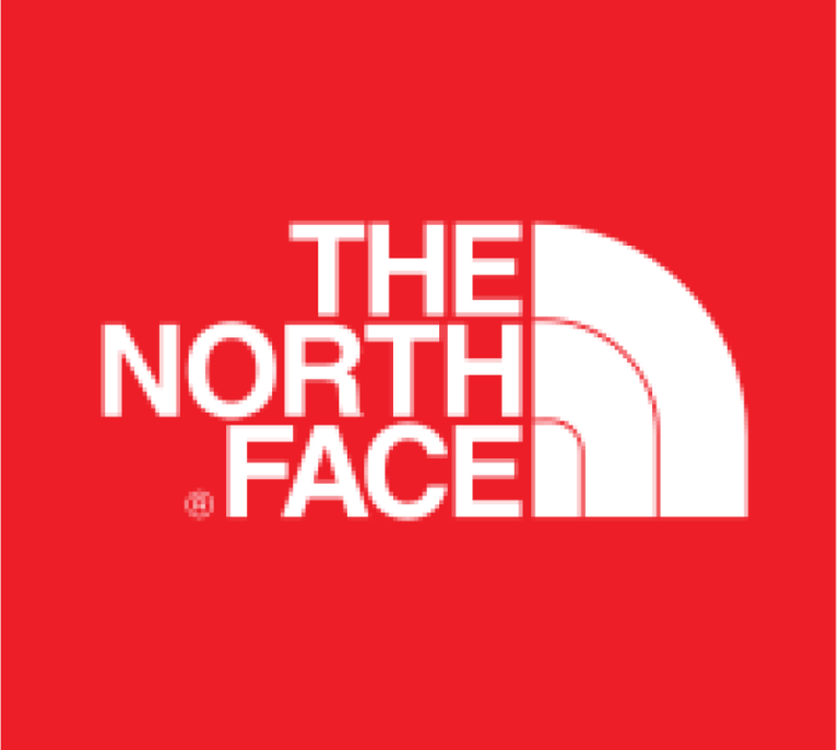 north face logo