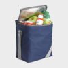 Open Navy/ Grey Handle Cooler Bag With Drinks and Fruit in